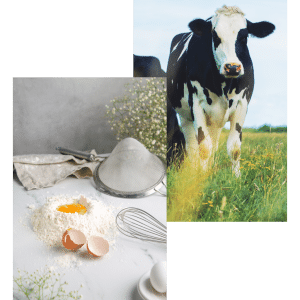 Mon petit Lapin-politain